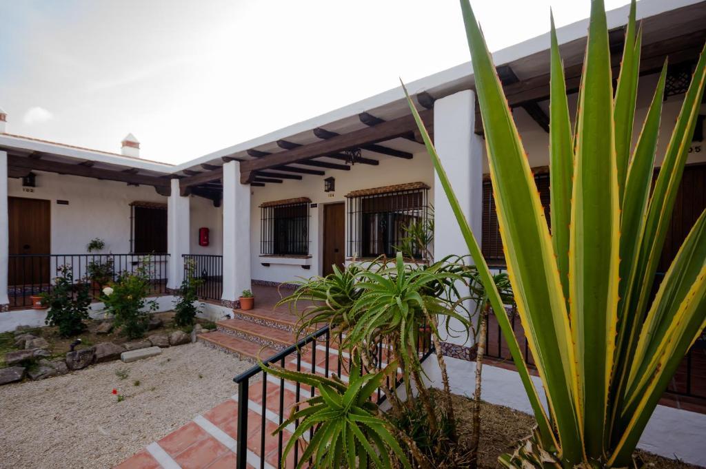 Hacienda Puerto Conil Apartment โกนิล เด ลาฟรอนเตรา ภายนอก รูปภาพ